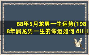 88年5月龙男一生运势(1988年属龙男一生的命运如何 🍁 )
